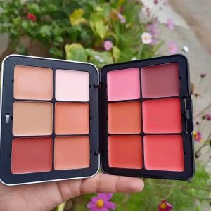 secret 12 colours creamy blush palette and contour for lip cheeks and eyes 1
