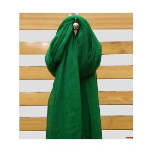 Womens Chiffon Printed Shawl green h8 ye