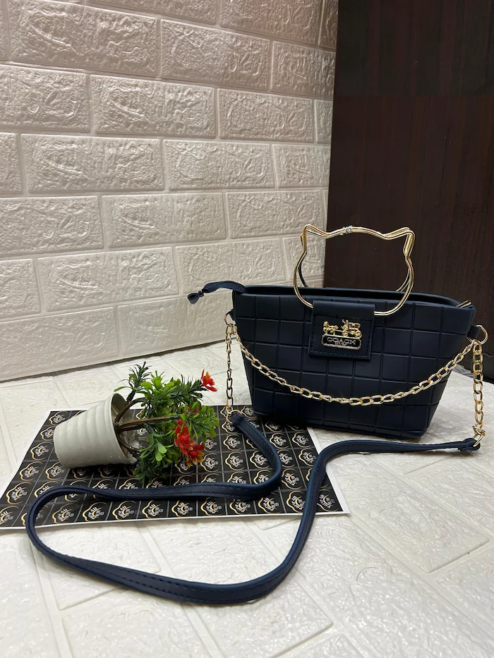 Women's Coach Crossbody Bag | Premium Quality with Kitty Handle & Long Strap